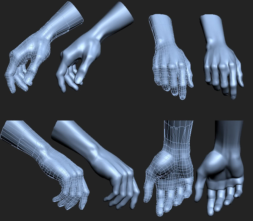 human hand chimpanzee hand