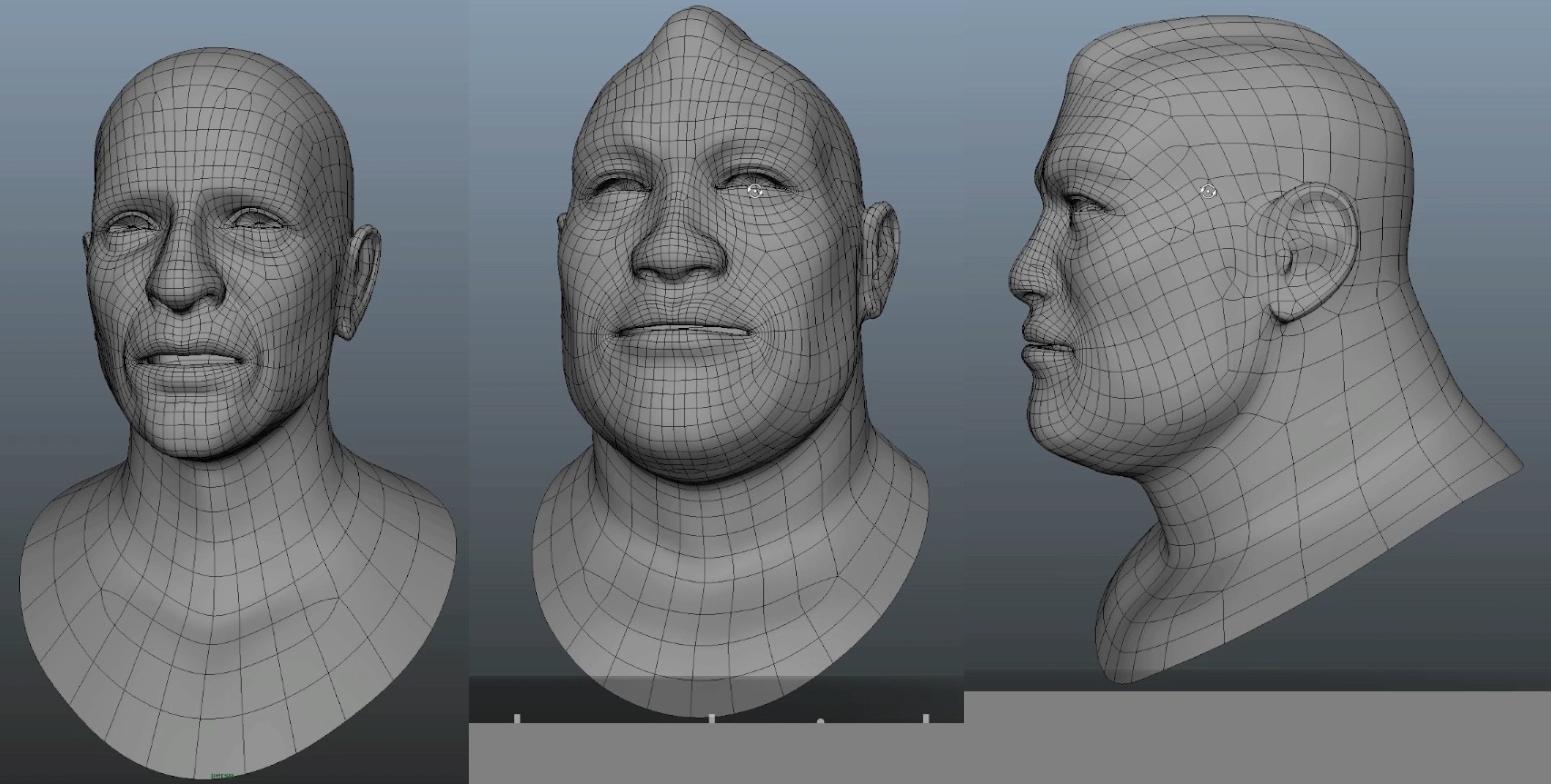 FaceTopology - polycount