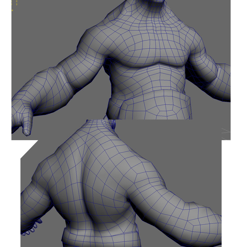 ShoulderTopology - polycount