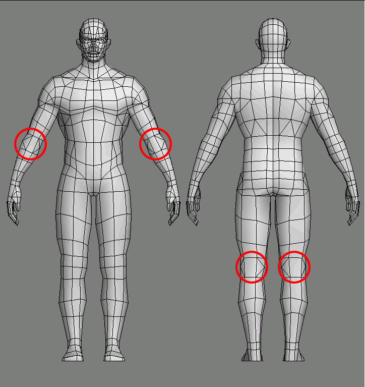 Limb Topology - polycount