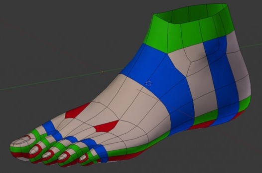 Limb Topology - polycount