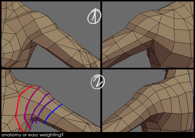 PiorOberson shoulder-compare.jpg