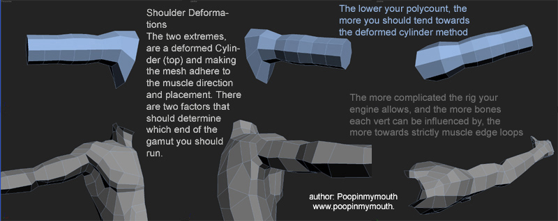 ShoulderTopology - polycount