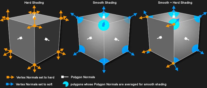 Normal Face, Wiki