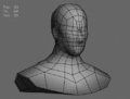 Basemesh bust.gif