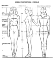 Ideal proportions female.gif