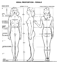 Ideal proportions female.gif