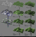 Tree shading examples.jpg