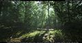 AlexDracott ForestLightingStudy.jpg