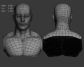 Basemesh anzhou bust.gif