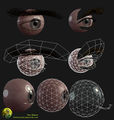 Mathis eye construction.jpg