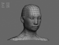 Basemesh 01.gif