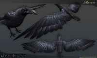 GameOfThrones Raven.jpg